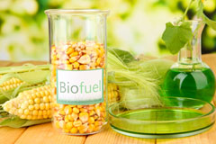 Norfolk biofuel availability